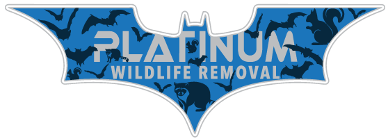 Excel Wildlife Removal LLC