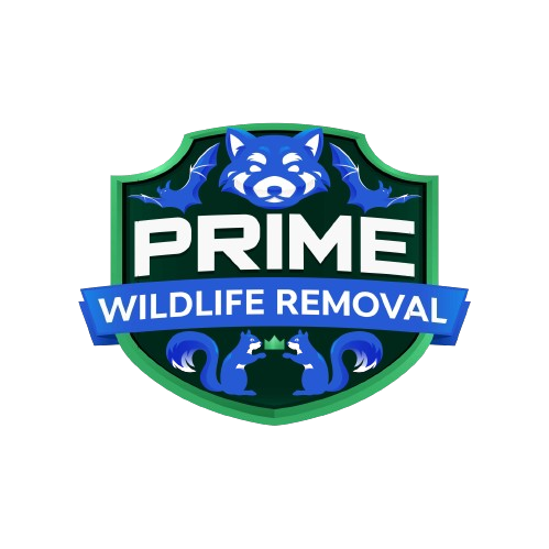 Excel Wildlife Removal LLC